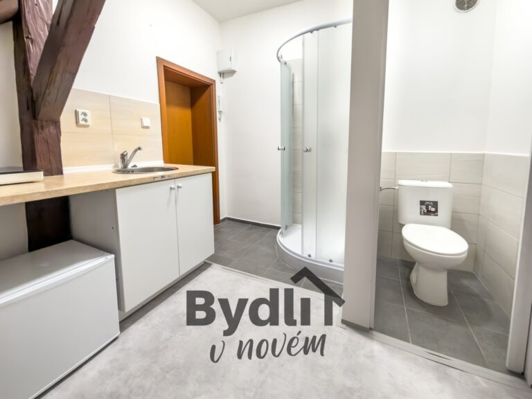 Pronájem bytu 1+kk 20 m², Brno – Zábrdovice